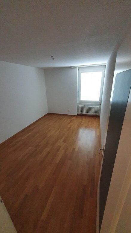 Maler Bodenleger Visola Solutions visolaswiss art@home Zürich